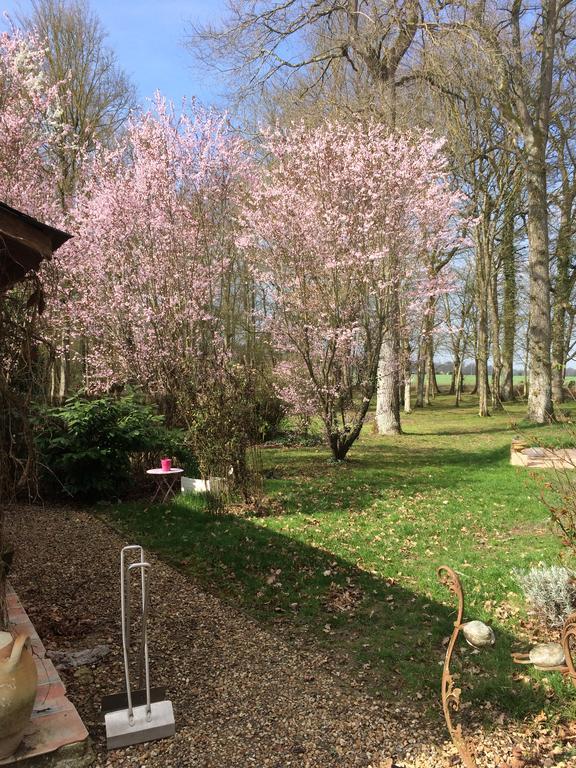 Bed and Breakfast Logis De La Paqueraie Saint-Branchs Экстерьер фото